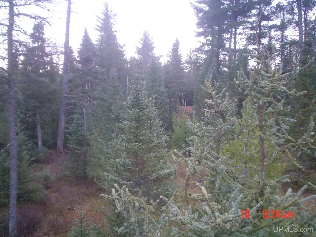 Picture 20