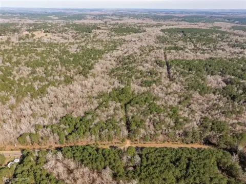 35 Acres of Natural Louisiana Land