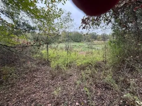 Wooded Waterfront Land