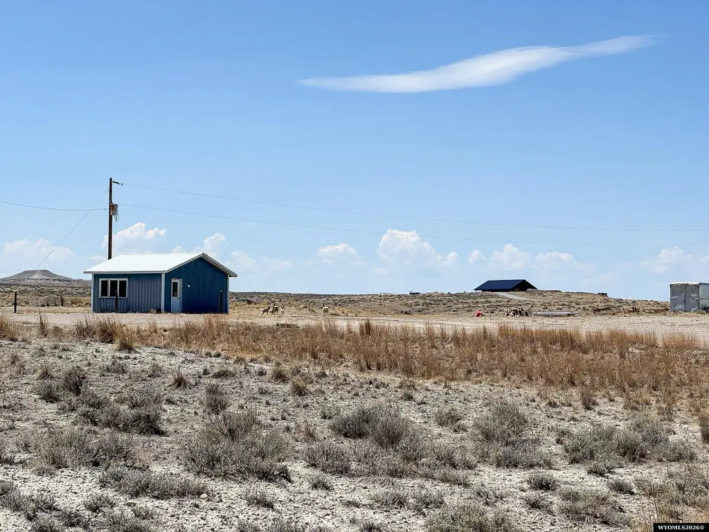 Picture 5
