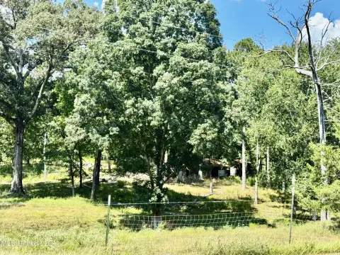 Mendenhall Land with Homesite Potential