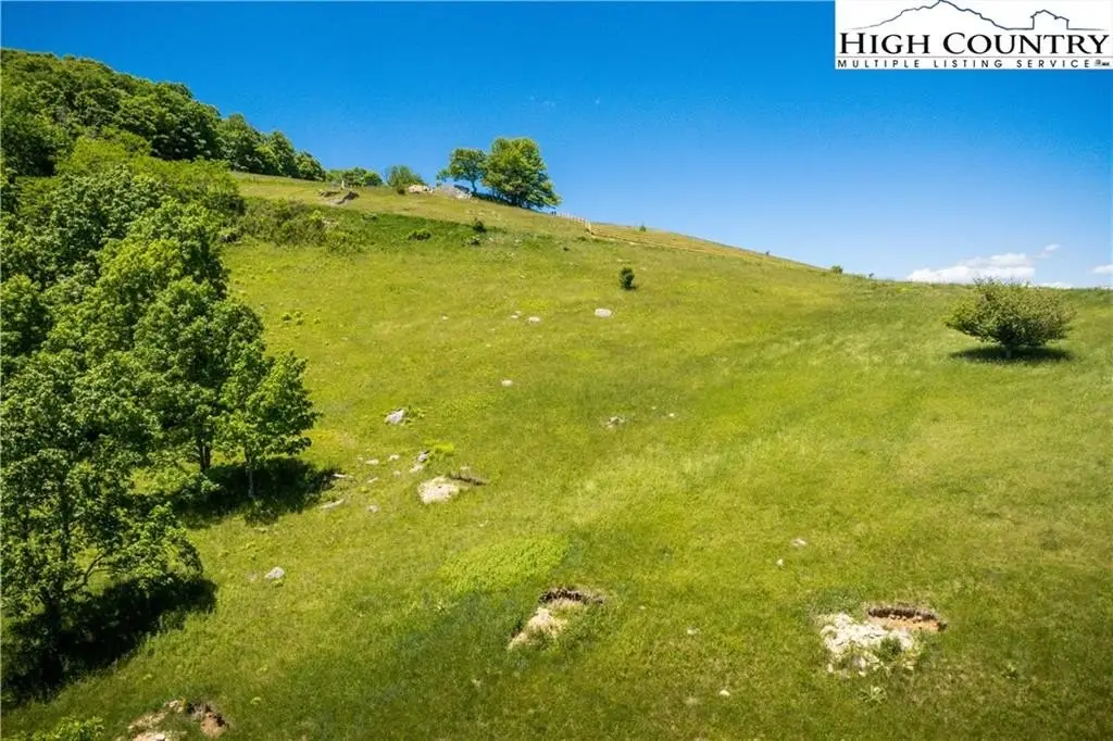 Picture 37