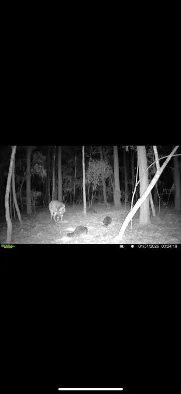 Picture 16
