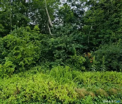Picture of Recreation land at MASHAMOQUET Road lot 6 & 6A, Pomfret, CT