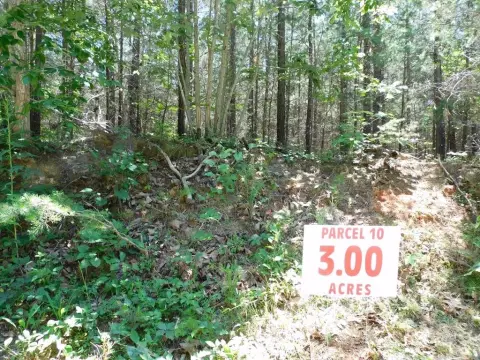 Picture of Hunting land at 3 Acre Neals Corner Road, Clover, VA
