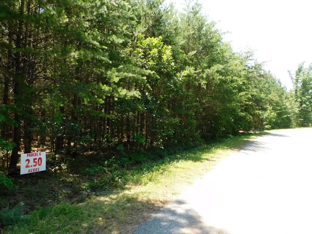 Picture 6