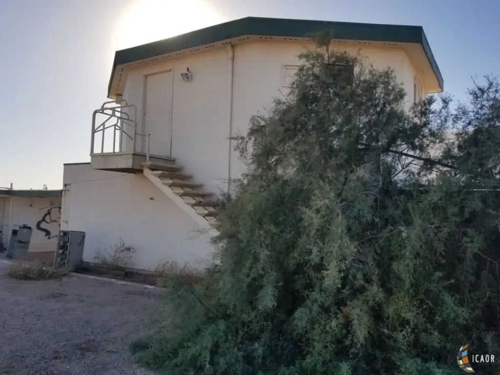 Picture 39