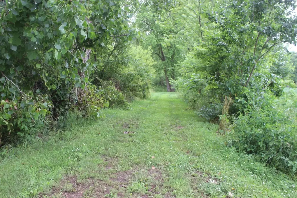 Picture 8