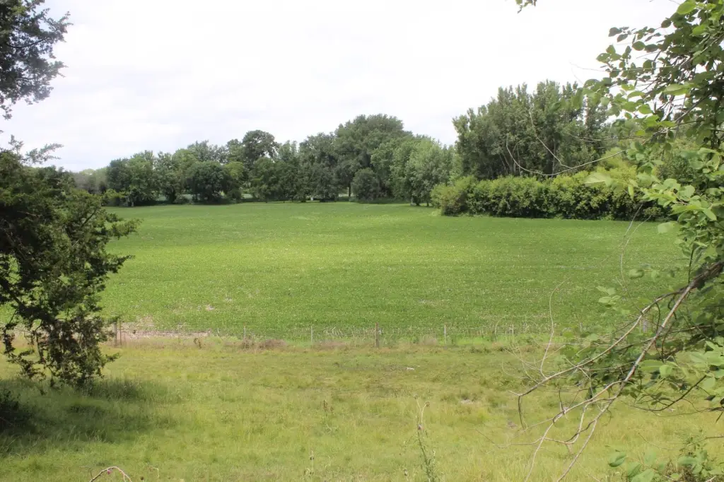 Picture 23