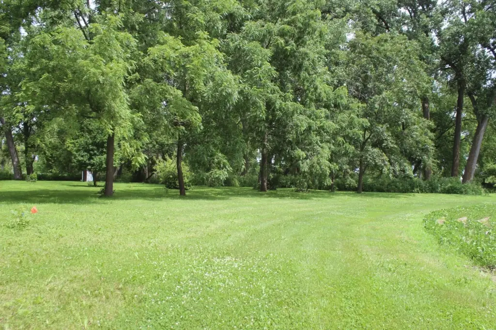 Picture 16