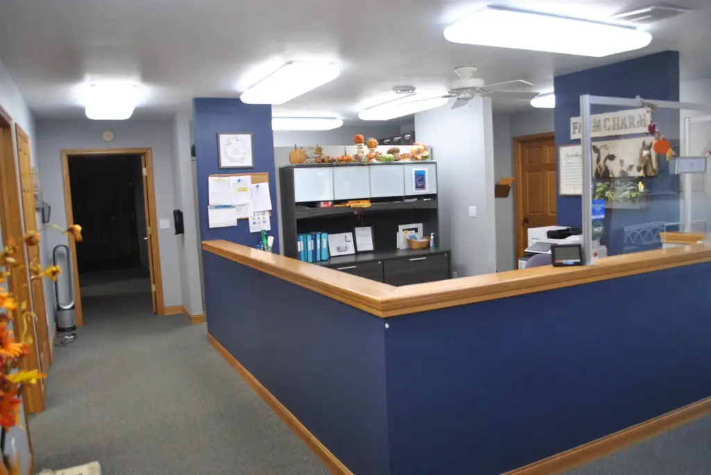 Picture 7