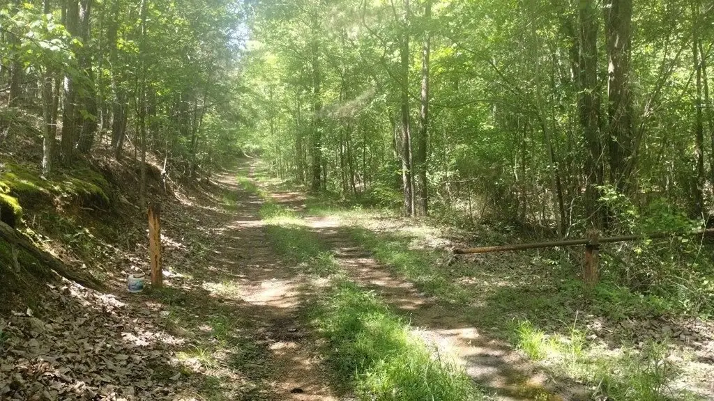 Picture 10