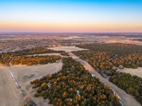 80 Acres Pasture and Timber Land