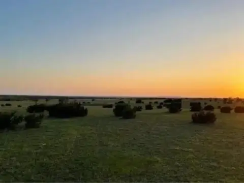 Land in Gated Community