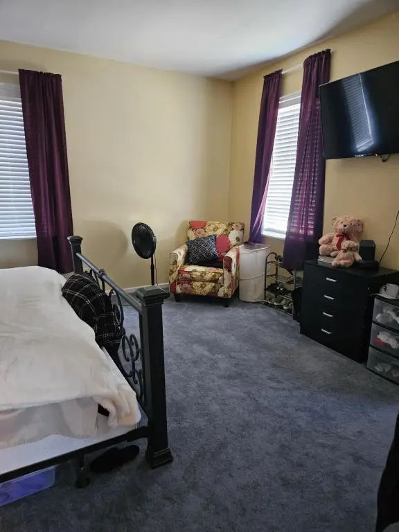 Picture 15
