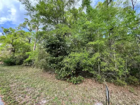 Acre Lot in Buck Bay