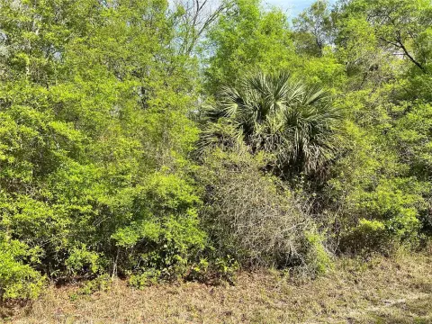 Acre Lot in Buck Bay