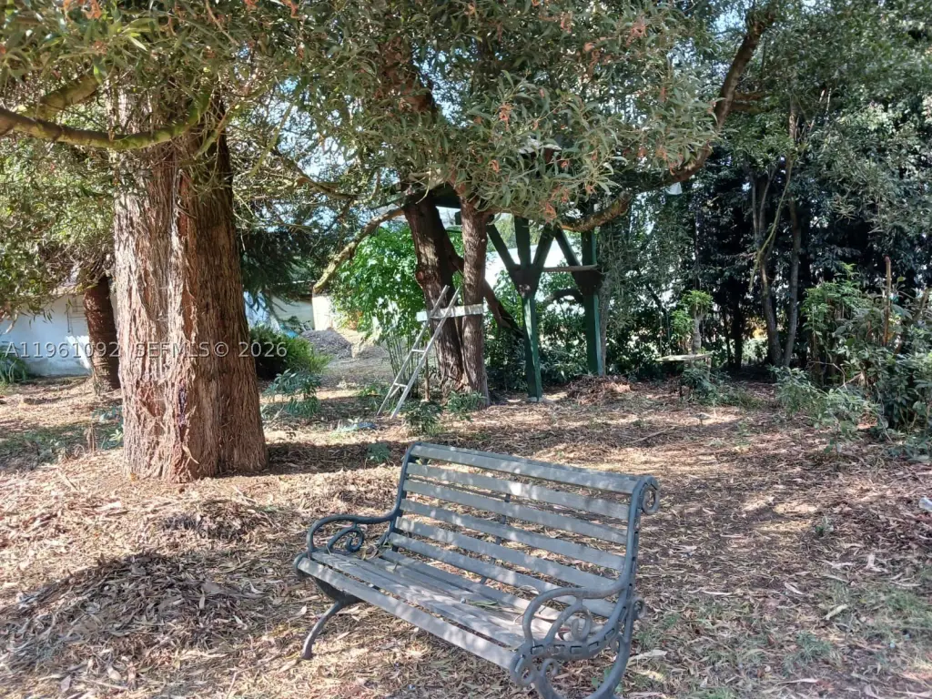 Picture 26