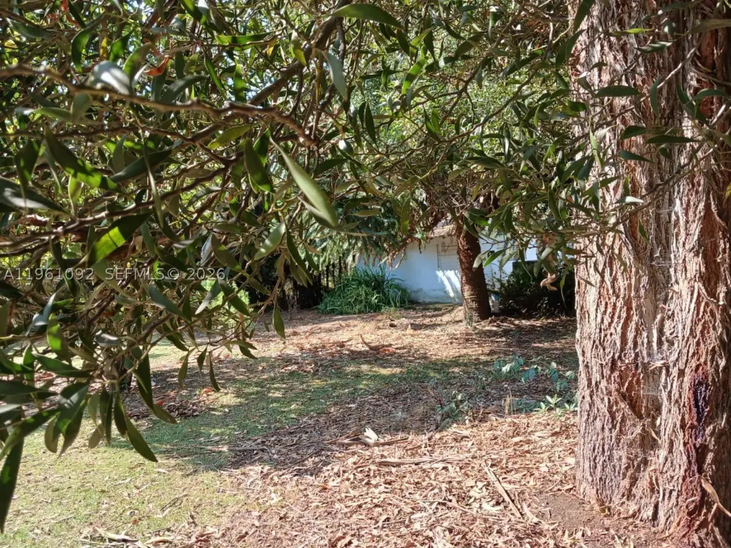 Picture 25