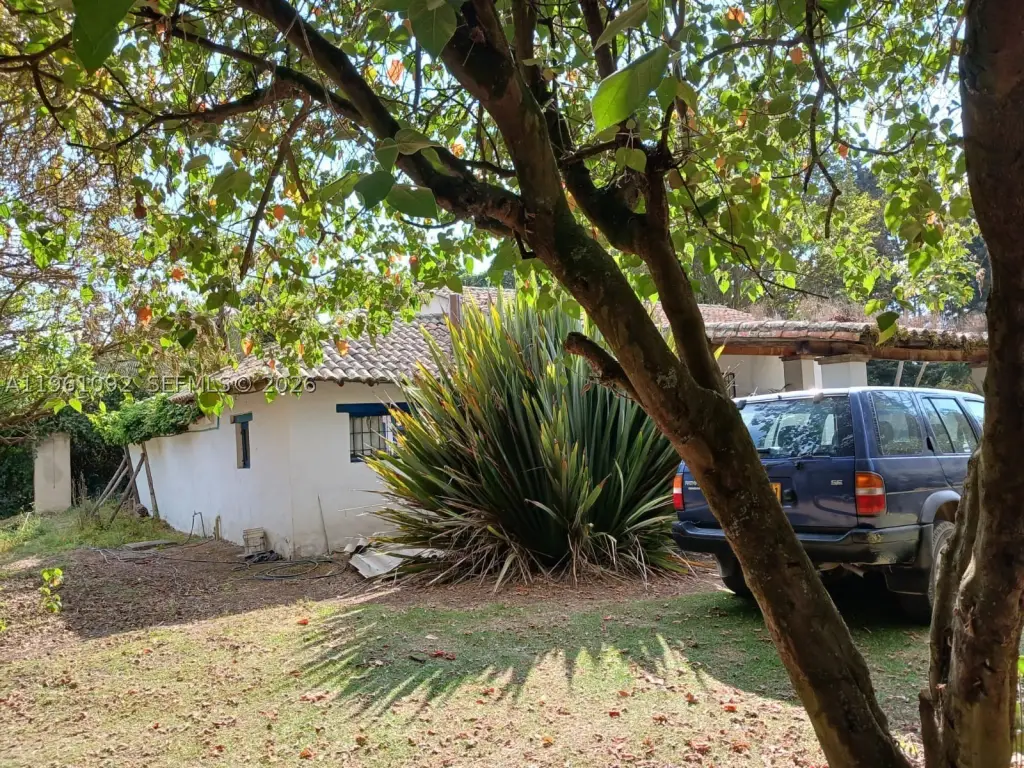 Picture 21