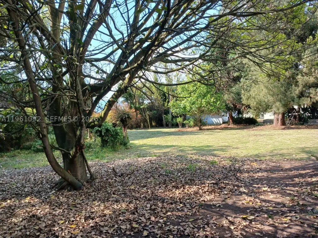 Picture 27