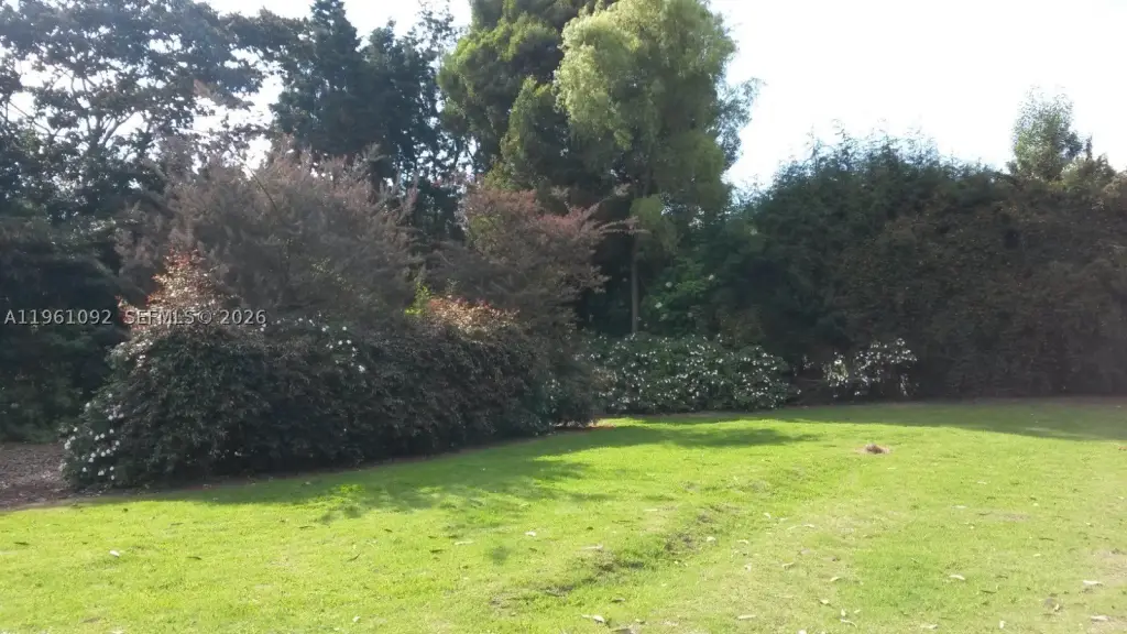 Picture 37