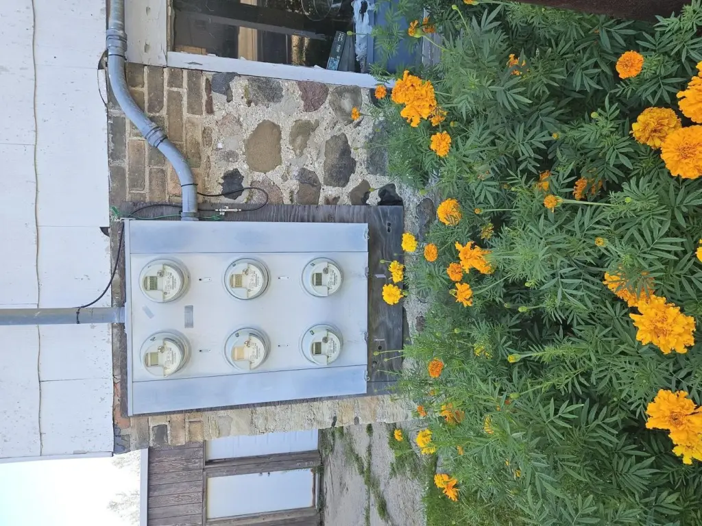 Picture 6
