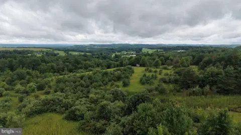 Hunting Land with Food Plots