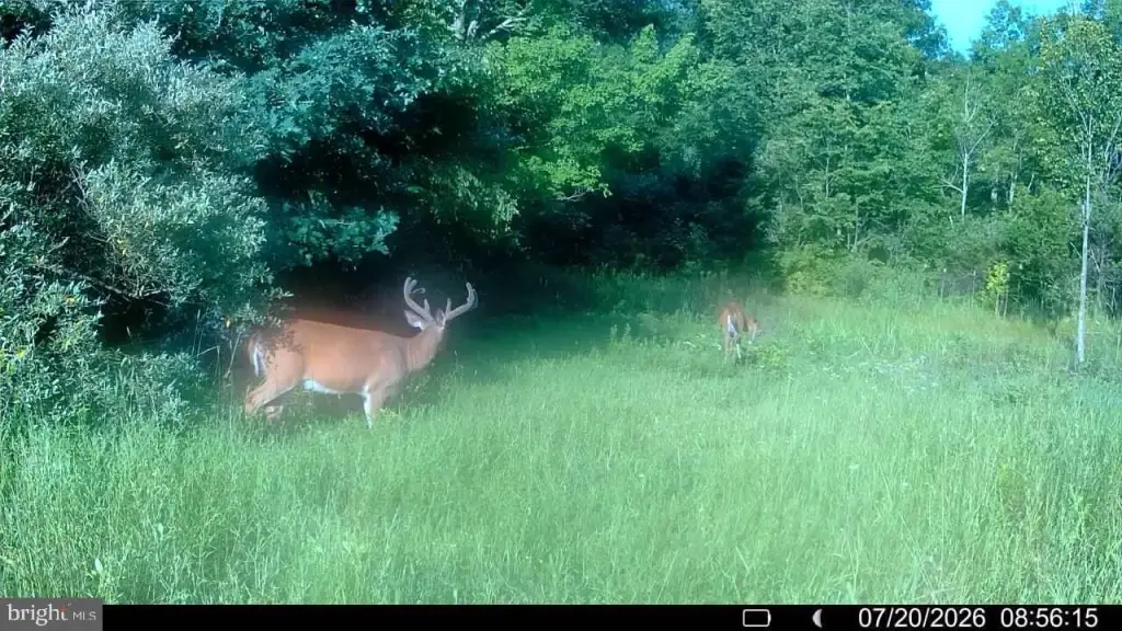 Picture 23