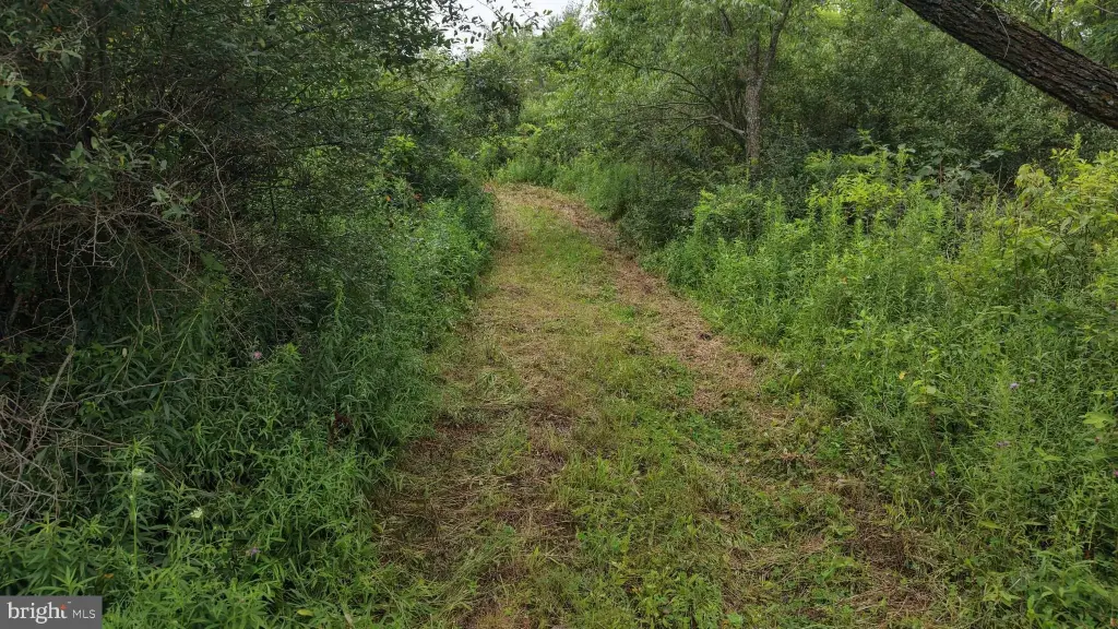Picture 38
