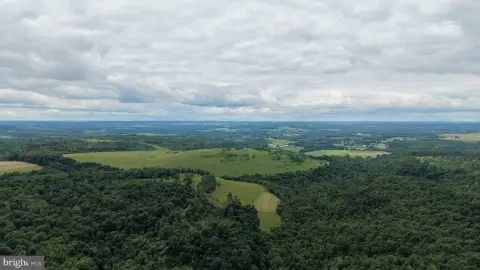 156-Acre Hunting Land