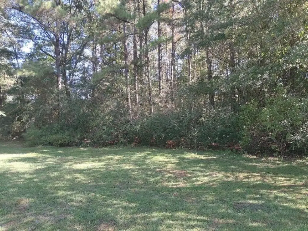 Picture 4
