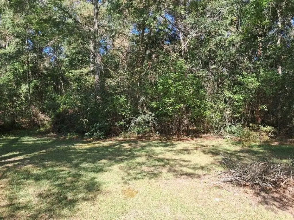 Picture 3