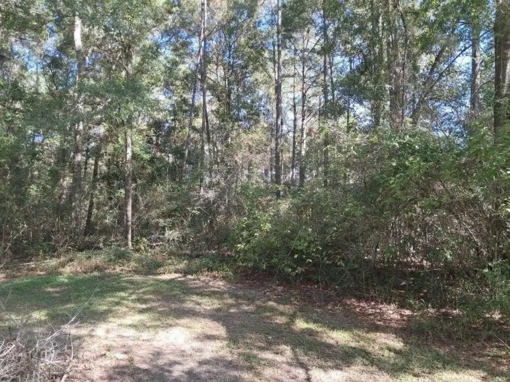 Picture 2