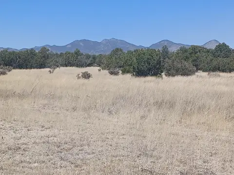 Expansive Land in Stanley, NM