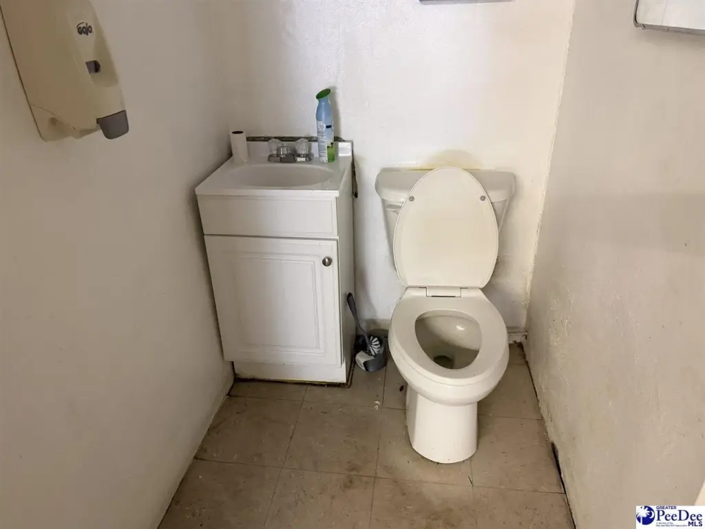 Picture 19