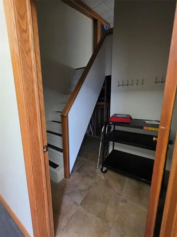 Picture 46