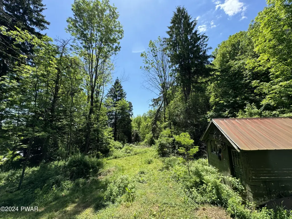 Picture 20