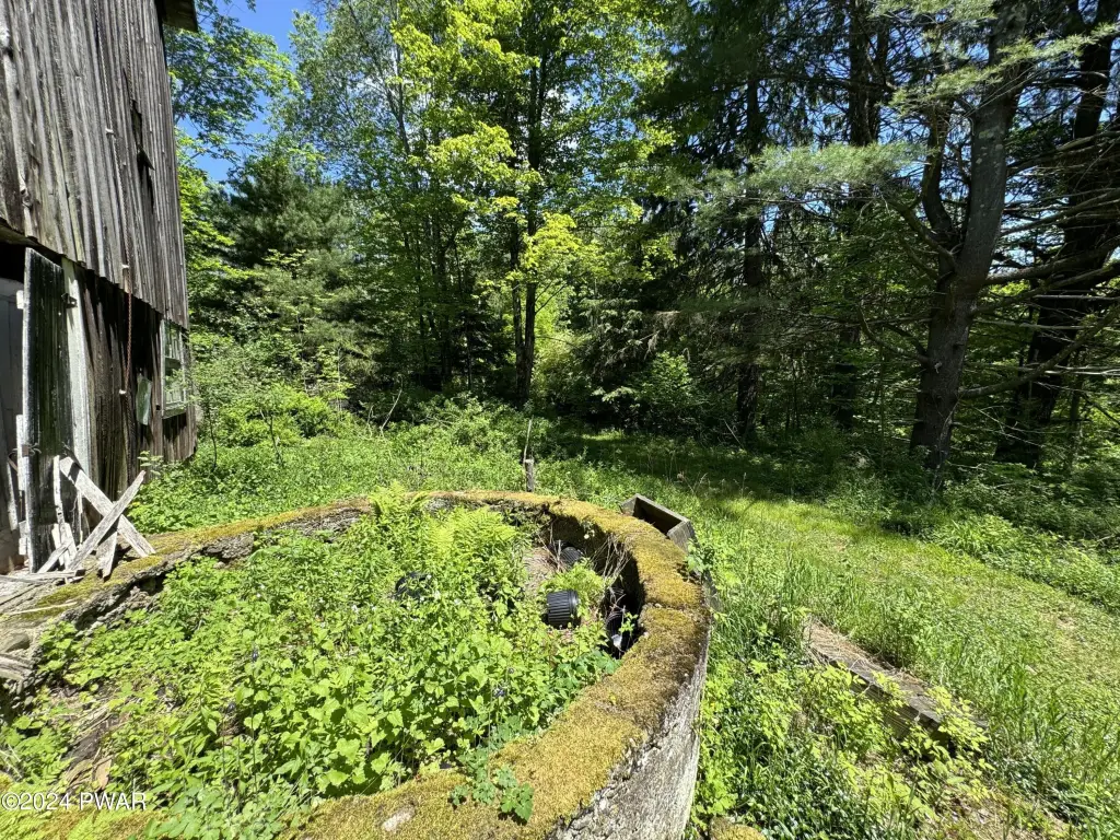 Picture 21