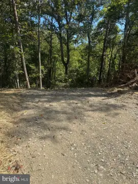 Three Acre Lot in Marshall