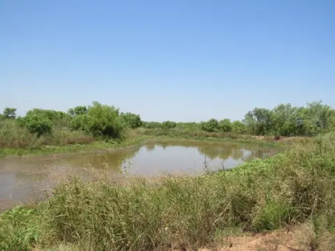 Recreational Acreage with Livestock Tank