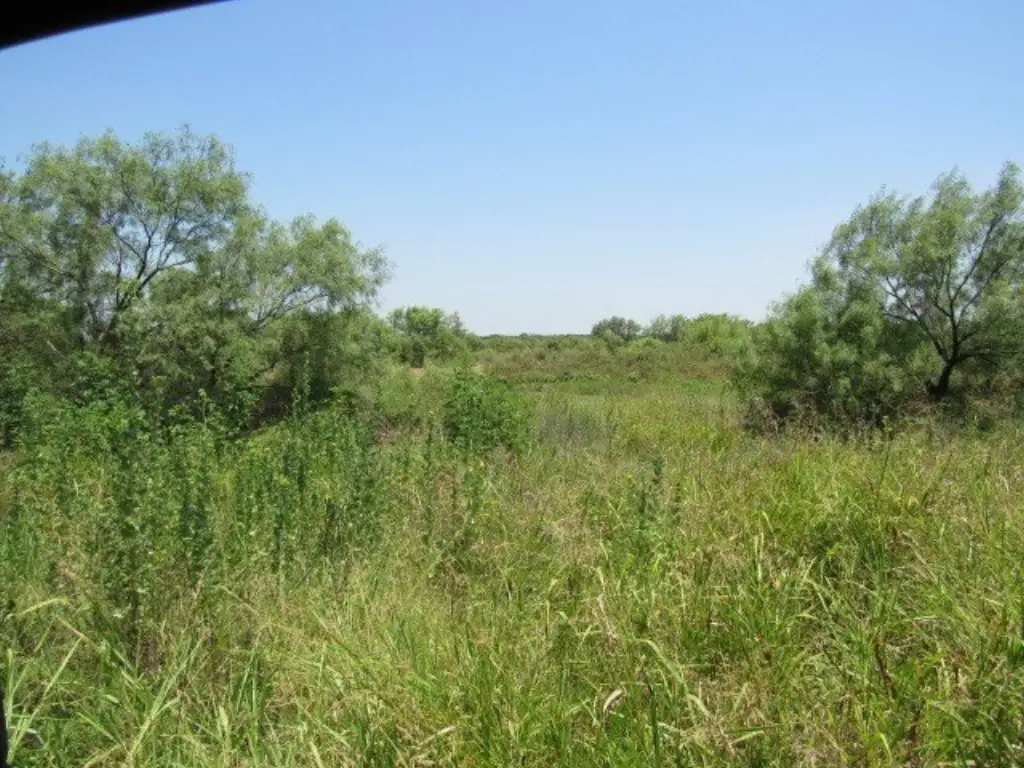 Picture 9