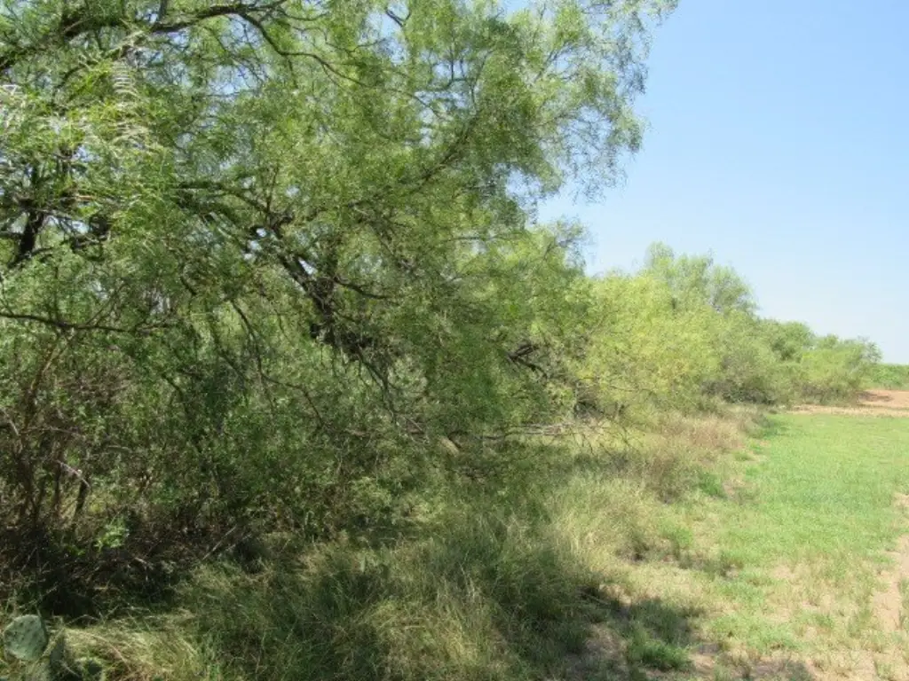 Picture 6