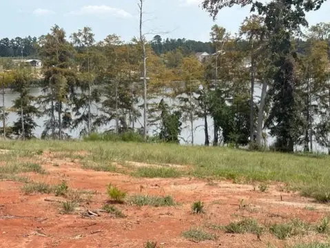 Waterfront Land on Toledo Bend
