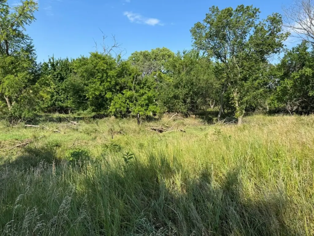 Picture 43