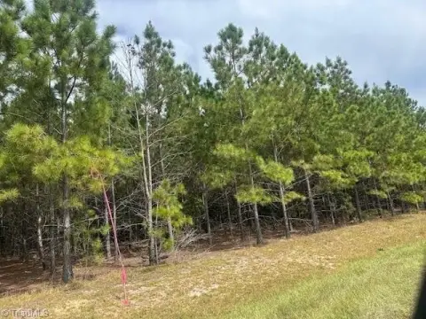 Residential Acreage in Jackson Springs