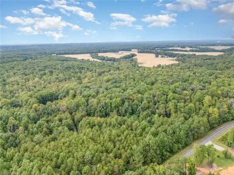 77 Acres of Wooded Land