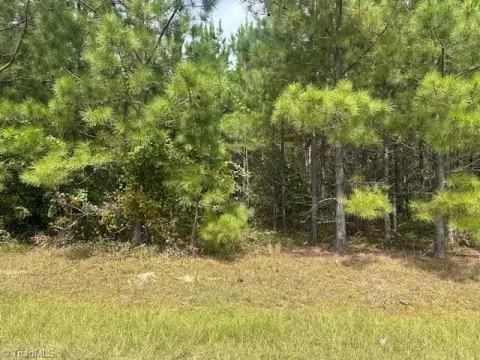 Rural Acreage for Dream Home