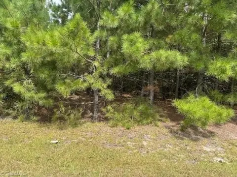 Rural Acreage for Dream Home