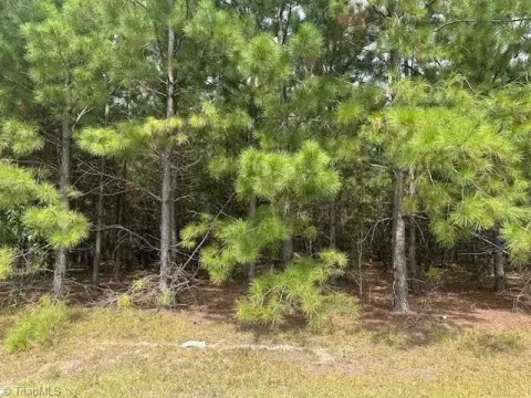 Rural Acreage for Dream Home